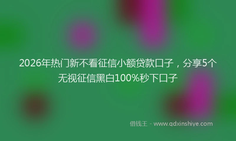 2026年热门新不看征信小额贷款口子，分享5个无视征信黑白100%秒下口子