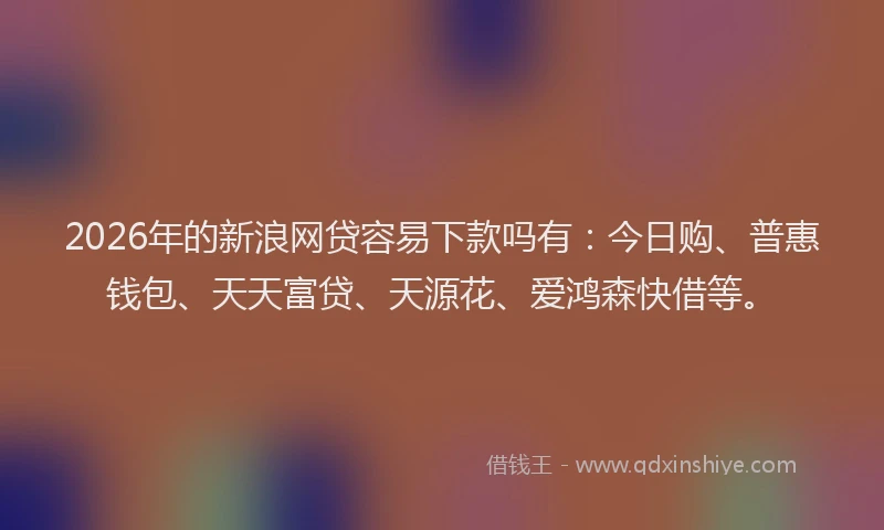 2026年的新浪网贷容易下款吗有：今日购、普惠钱包、天天富贷、天源花、爱鸿森快借等。