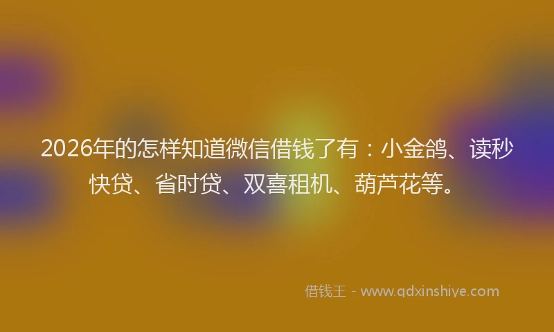 2026年的怎样知道微信借钱了有：小金鸽、读秒快贷、省时贷、双喜租机、葫芦花等。