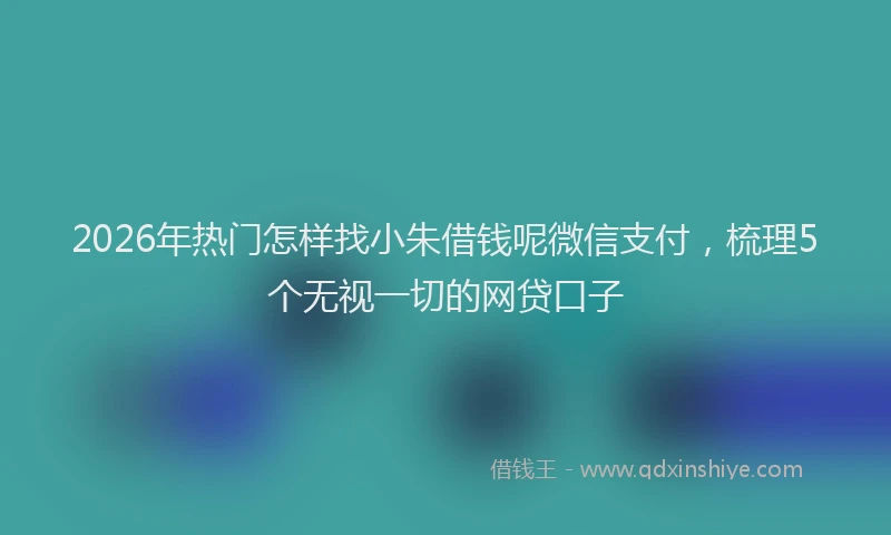 2026年热门怎样找小朱借钱呢微信支付,梳理5个无视一切的网贷口子
