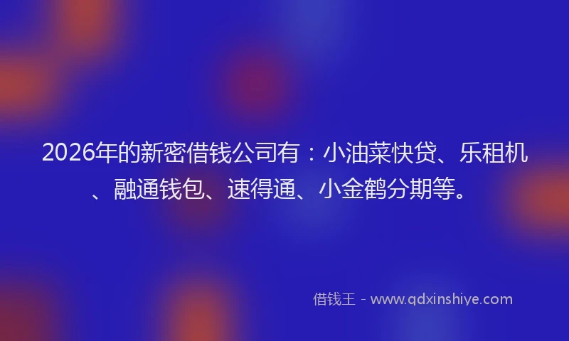 2026年的新密借钱公司有：小油菜快贷、乐租机、融通钱包、速得通、小金鹤分期等。