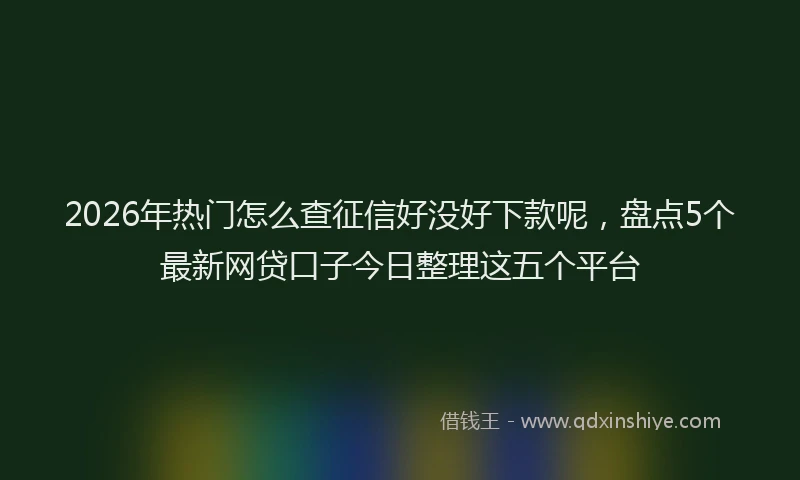 2026年热门怎么查征信好没好下款呢，盘点5个最新网贷口子今日整理这五个平台