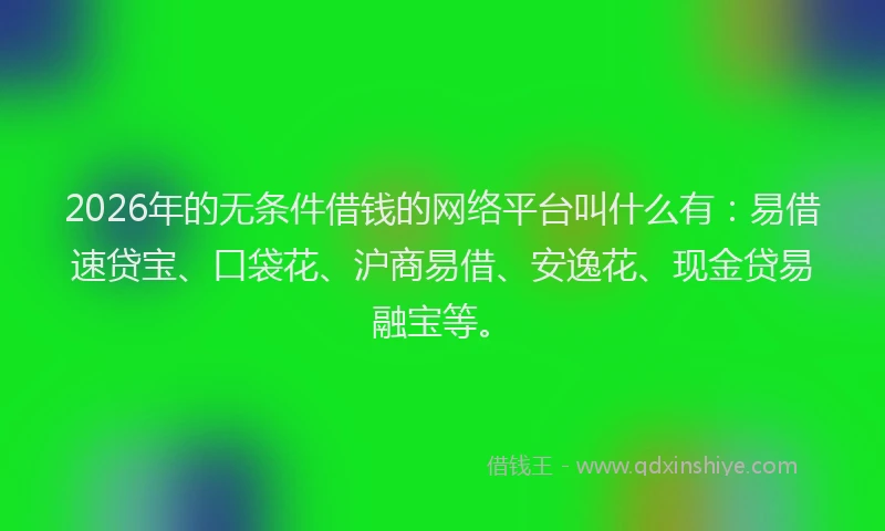 2026年的无条件借钱的网络平台叫什么有：易借速贷宝、口袋花、沪商易借、安逸花、现金贷易融宝等。