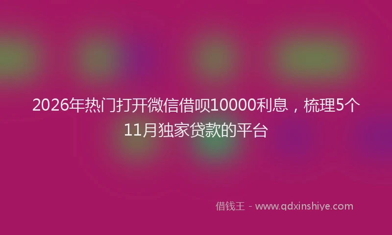 2026年热门打开微信借呗10000利息，梳理5个11月独家贷款的平台