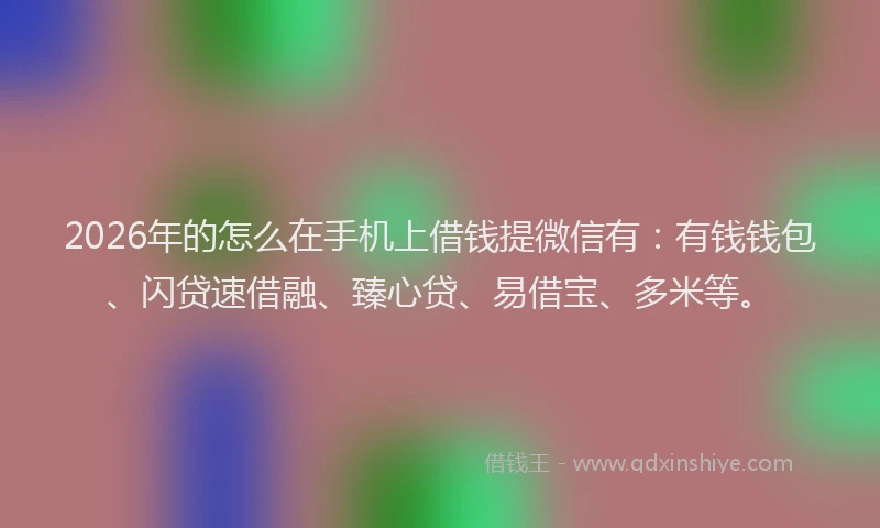 2026年的怎么在手机上借钱提微信有：有钱钱包、闪贷速借融、臻心贷、易借宝、多米等。