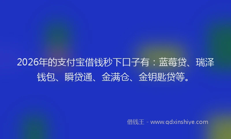 2026年的支付宝借钱秒下口子有：蓝莓贷、瑞泽钱包、瞬贷通、金满仓、金钥匙贷等。
