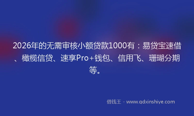 2026年的无需审核小额贷款1000有:易贷宝速借、橄榄信贷、速享Pro+钱包、信用飞、珊瑚分期等。
