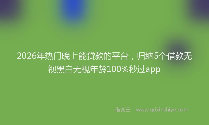 2026年热门晚上能贷款的平台，归纳5个借款无视黑白无视年龄100%秒过app