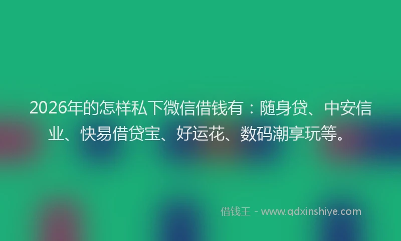 2026年的怎样私下微信借钱有：随身贷、中安信业、快易借贷宝、好运花、数码潮享玩等。