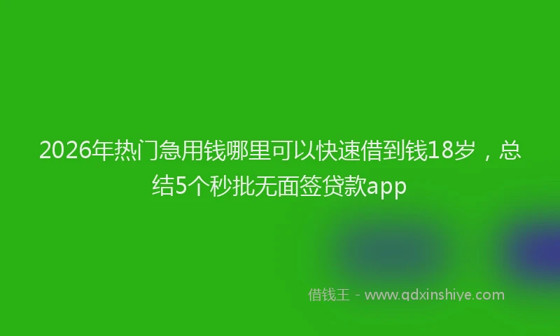 2026年热门急用钱哪里可以快速借到钱18岁，总结5个秒批无面签贷款app