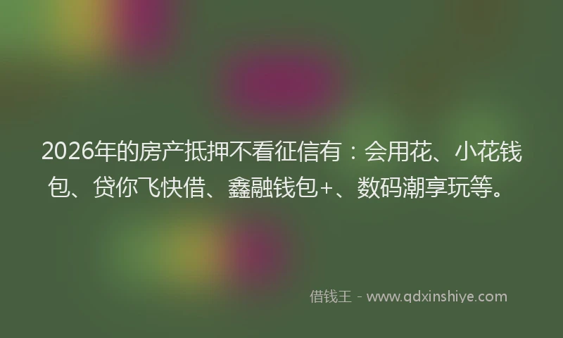 2026年的房产抵押不看征信有：会用花、小花钱包、贷你飞快借、鑫融钱包+、数码潮享玩等。