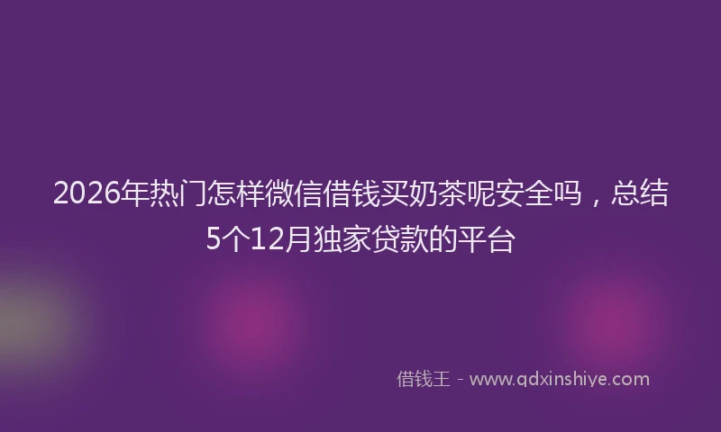 2026年热门怎样微信借钱买奶茶呢安全吗,总结5个12月独家贷款的平台