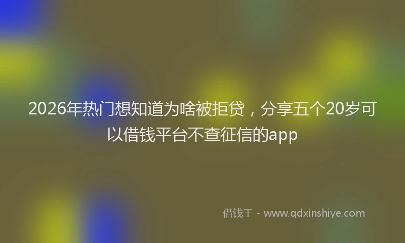 2026年热门想知道为啥被拒贷,分享五个20岁可以借钱平台不查征信的app