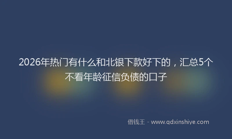 2026年热门有什么和北银下款好下的，汇总5个不看年龄征信负债的口子