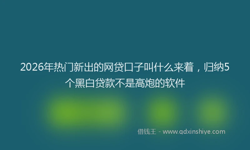 2026年热门新出的网贷口子叫什么来着，归纳5个黑白贷款不是高炮的软件