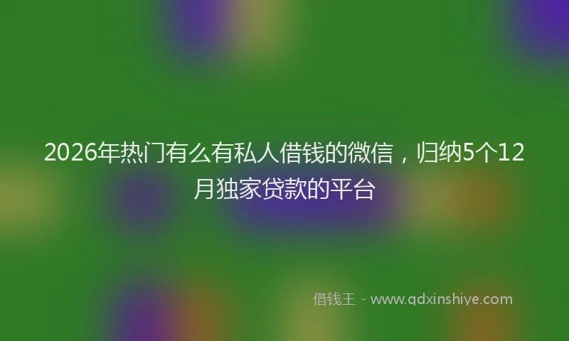 2026年热门有么有私人借钱的微信，归纳5个12月独家贷款的平台