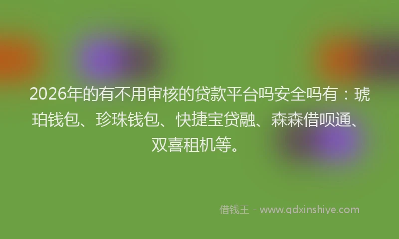 2026年的有不用审核的贷款平台吗安全吗有：琥珀钱包、珍珠钱包、快捷宝贷融、森森借呗通、双喜租机等。