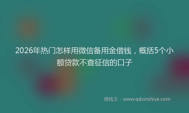 2026年热门怎样用微信备用金借钱，概括5个小额贷款不查征信的口子
