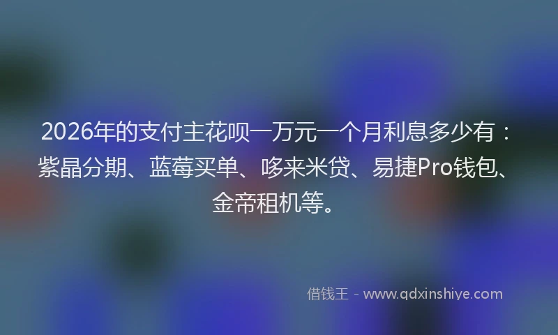 2026年的支付主花呗一万元一个月利息多少有：紫晶分期、蓝莓买单、哆来米贷、易捷Pro钱包、金帝租机等。