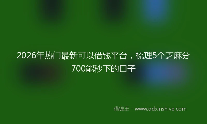 2026年热门最新可以借钱平台，梳理5个芝麻分700能秒下的口子