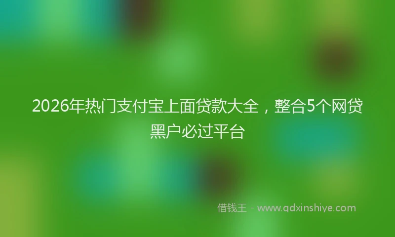 2026年热门支付宝上面贷款大全，整合5个网贷黑户必过平台