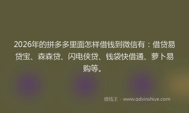 2026年的拼多多里面怎样借钱到微信有：借贷易贷宝、森森贷、闪电侠贷、钱袋快借通、萝卜易购等。