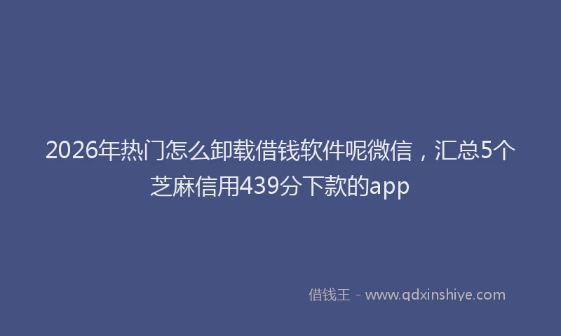 2026年热门怎么卸载借钱软件呢微信，汇总5个芝麻信用439分下款的app