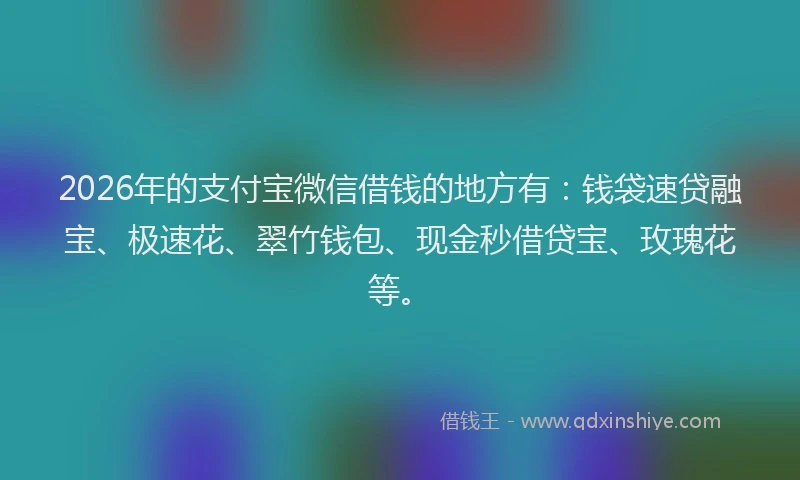 2026年的支付宝微信借钱的地方有：钱袋速贷融宝、极速花、翠竹钱包、现金秒借贷宝、玫瑰花等。