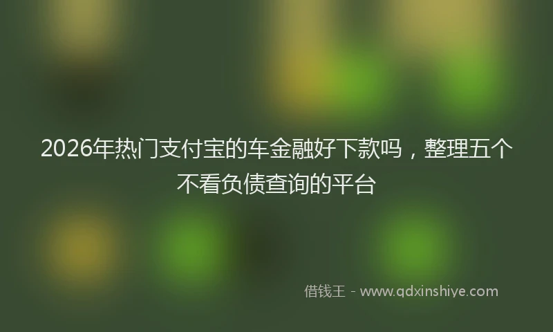 2026年热门支付宝的车金融好下款吗，整理五个不看负债查询的平台