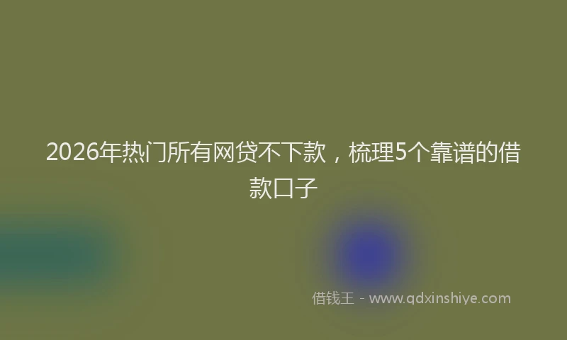 2026年热门所有网贷不下款，梳理5个靠谱的借款口子