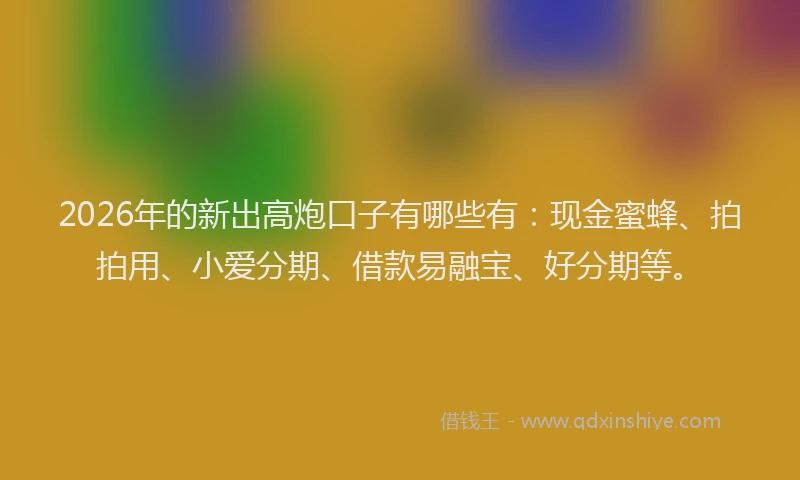 2026年的新出高炮口子有哪些有：现金蜜蜂、拍拍用、小爱分期、借款易融宝、好分期等。