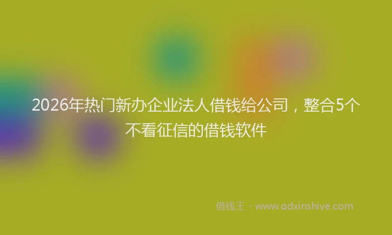 2026年热门新办企业法人借钱给公司，整合5个不看征信的借钱软件