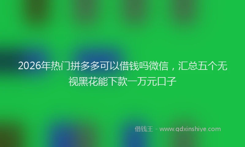 2026年热门拼多多可以借钱吗微信，汇总五个无视黑花能下款一万元口子