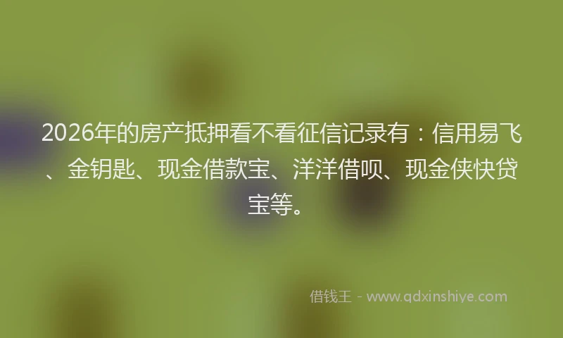 2026年的房产抵押看不看征信记录有：信用易飞、金钥匙、现金借款宝、洋洋借呗、现金侠快贷宝等。