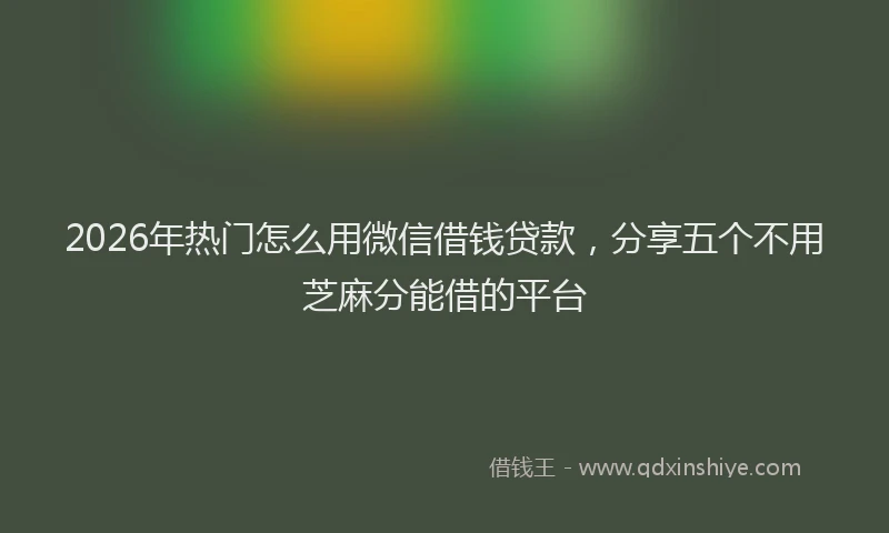 2026年热门怎么用微信借钱贷款，分享五个不用芝麻分能借的平台
