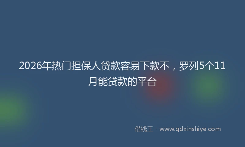 2026年热门担保人贷款容易下款不，罗列5个11月能贷款的平台
