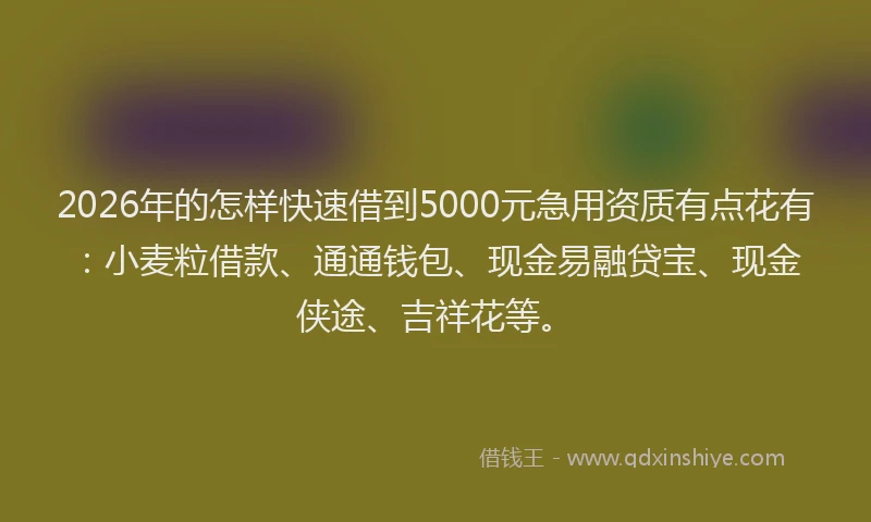 2026年的怎样快速借到5000元急用资质有点花有：小麦粒借款、通通钱包、现金易融贷宝、现金侠途、吉祥花等。
