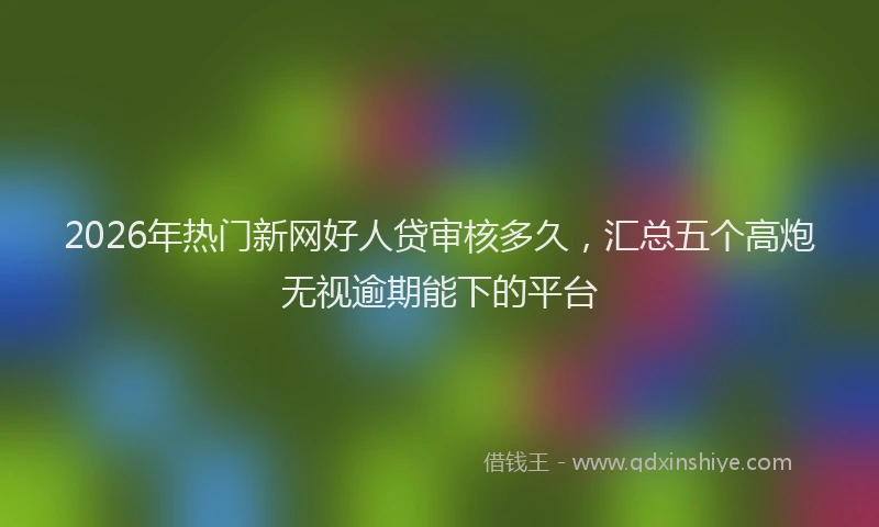 2026年热门新网好人贷审核多久，汇总五个高炮无视逾期能下的平台
