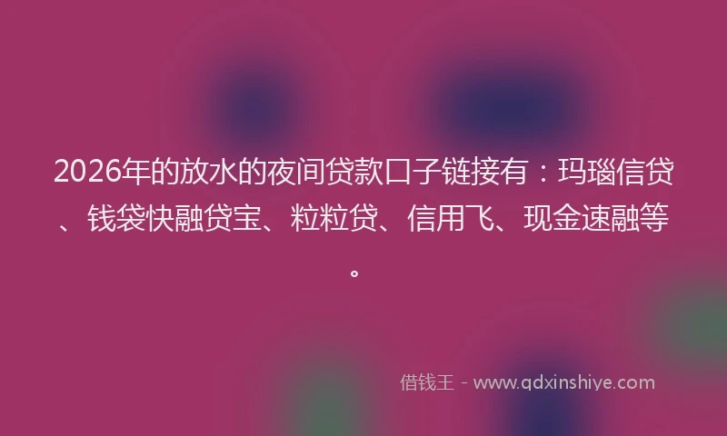 2026年的放水的夜间贷款口子链接有：玛瑙信贷、钱袋快融贷宝、粒粒贷、信用飞、现金速融等。