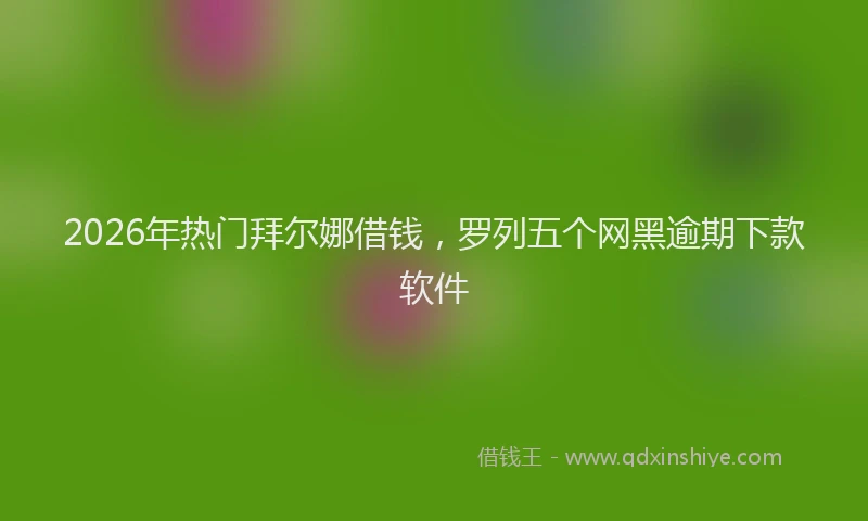 2026年热门拜尔娜借钱,罗列五个网黑逾期下款软件
