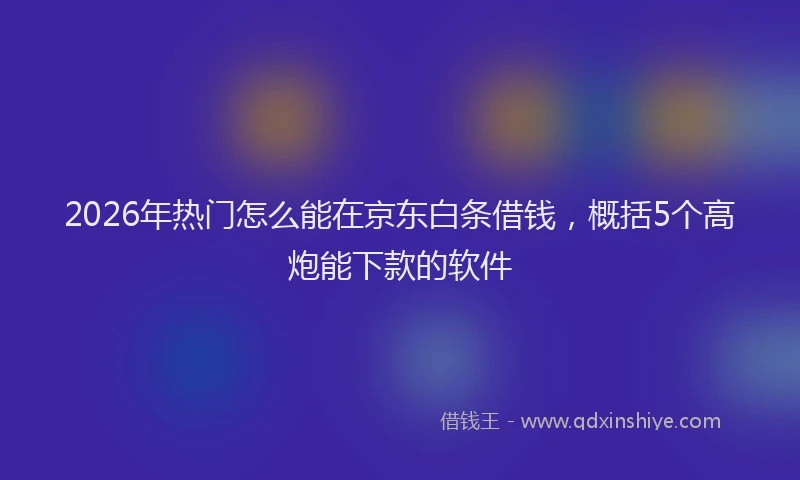 2026年热门怎么能在京东白条借钱，概括5个高炮能下款的软件