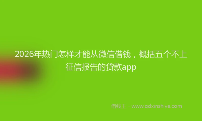 2026年热门怎样才能从微信借钱，概括五个不上征信报告的贷款app