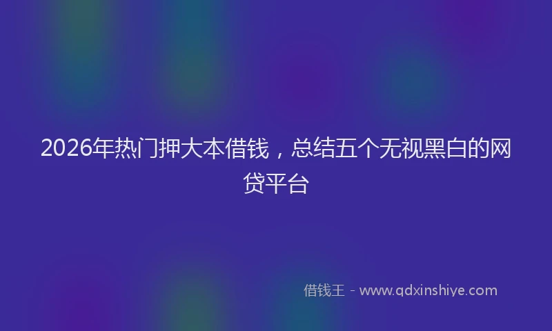 2026年热门押大本借钱，总结五个无视黑白的网贷平台