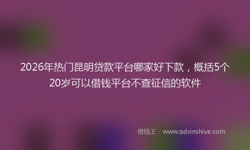 2026年热门昆明贷款平台哪家好下款，概括5个20岁可以借钱平台不查征信的软件