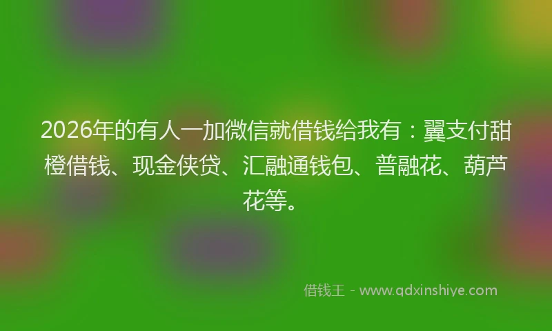 2026年的有人一加微信就借钱给我有：翼支付甜橙借钱、现金侠贷、汇融通钱包、普融花、葫芦花等。