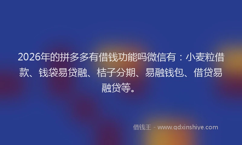 2026年的拼多多有借钱功能吗微信有:小麦粒借款、钱袋易贷融、桔子分期、易融钱包、借贷易融贷等。