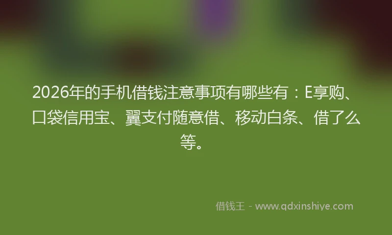2026年的手机借钱注意事项有哪些有：E享购、口袋信用宝、翼支付随意借、移动白条、借了么等。