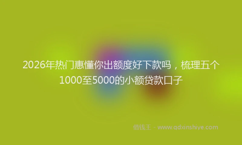 2026年热门惠懂你出额度好下款吗，梳理五个1000至5000的小额贷款口子