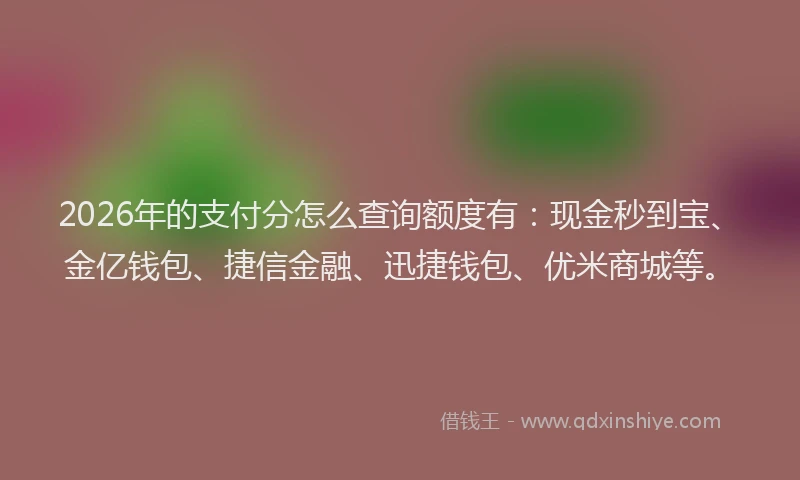 2026年的支付分怎么查询额度有：现金秒到宝、金亿钱包、捷信金融、迅捷钱包、优米商城等。