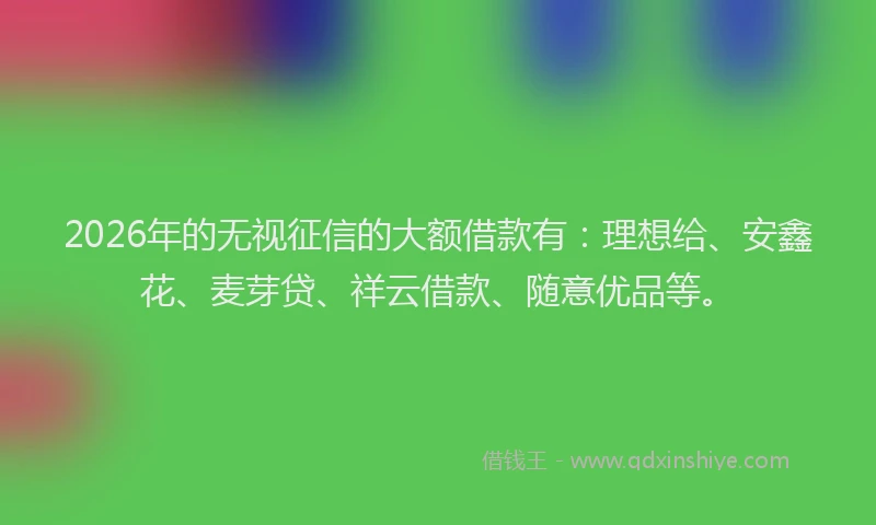 2026年的无视征信的大额借款有：理想给、安鑫花、麦芽贷、祥云借款、随意优品等。
